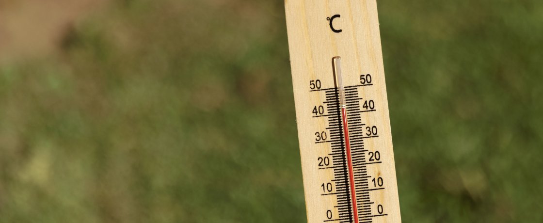 Vague de chaleur : alerte canicule