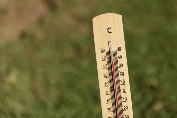 Vague de chaleur : alerte canicule