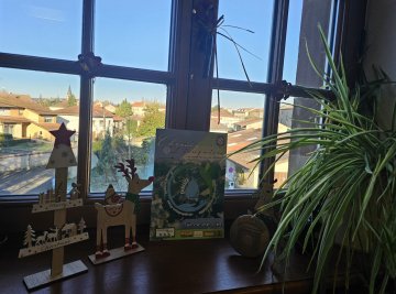 Le numéro 11 des Chroniques Dieuzoises est disponible