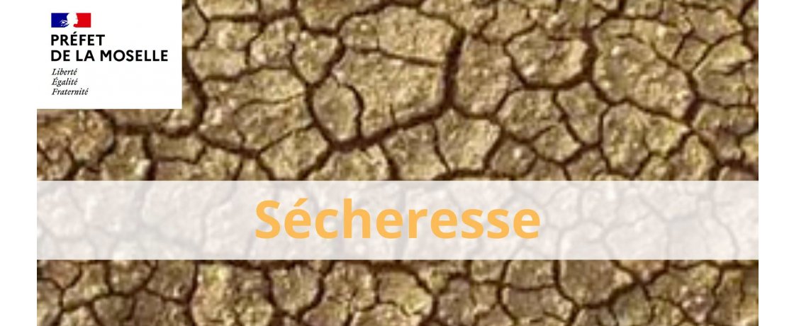 Alerte sécheresse : restriction des usages d'eau