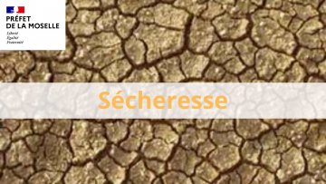 Alerte sécheresse : restriction des usages d'eau
